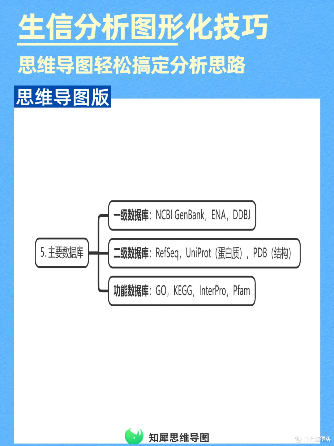 提升效率!生物信息学分析用思维导图图形化呈现思路