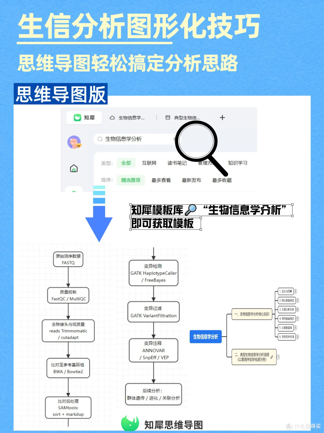 提升效率!生物信息学分析用思维导图图形化呈现思路