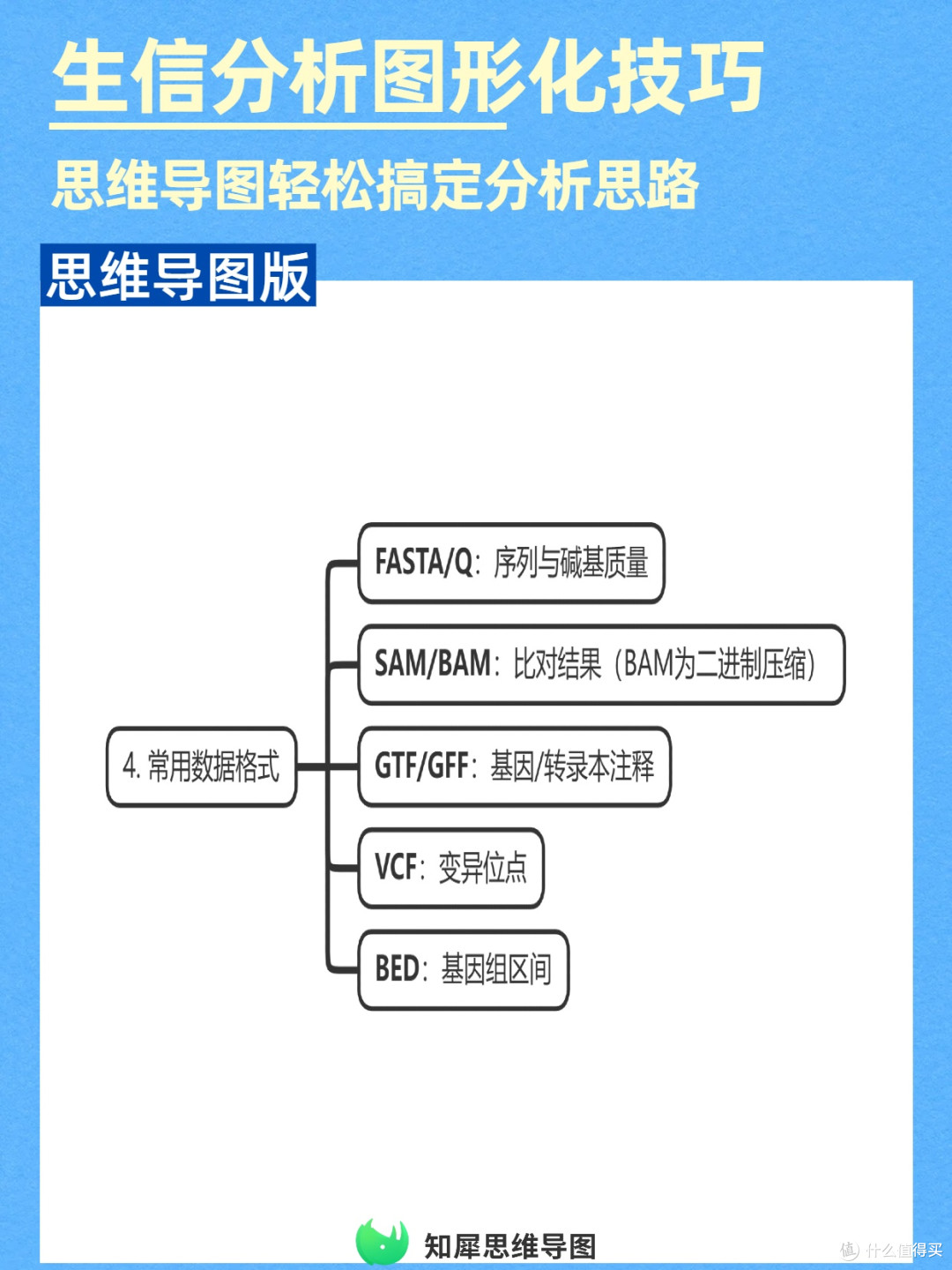 提升效率!生物信息学分析用思维导图图形化呈现思路