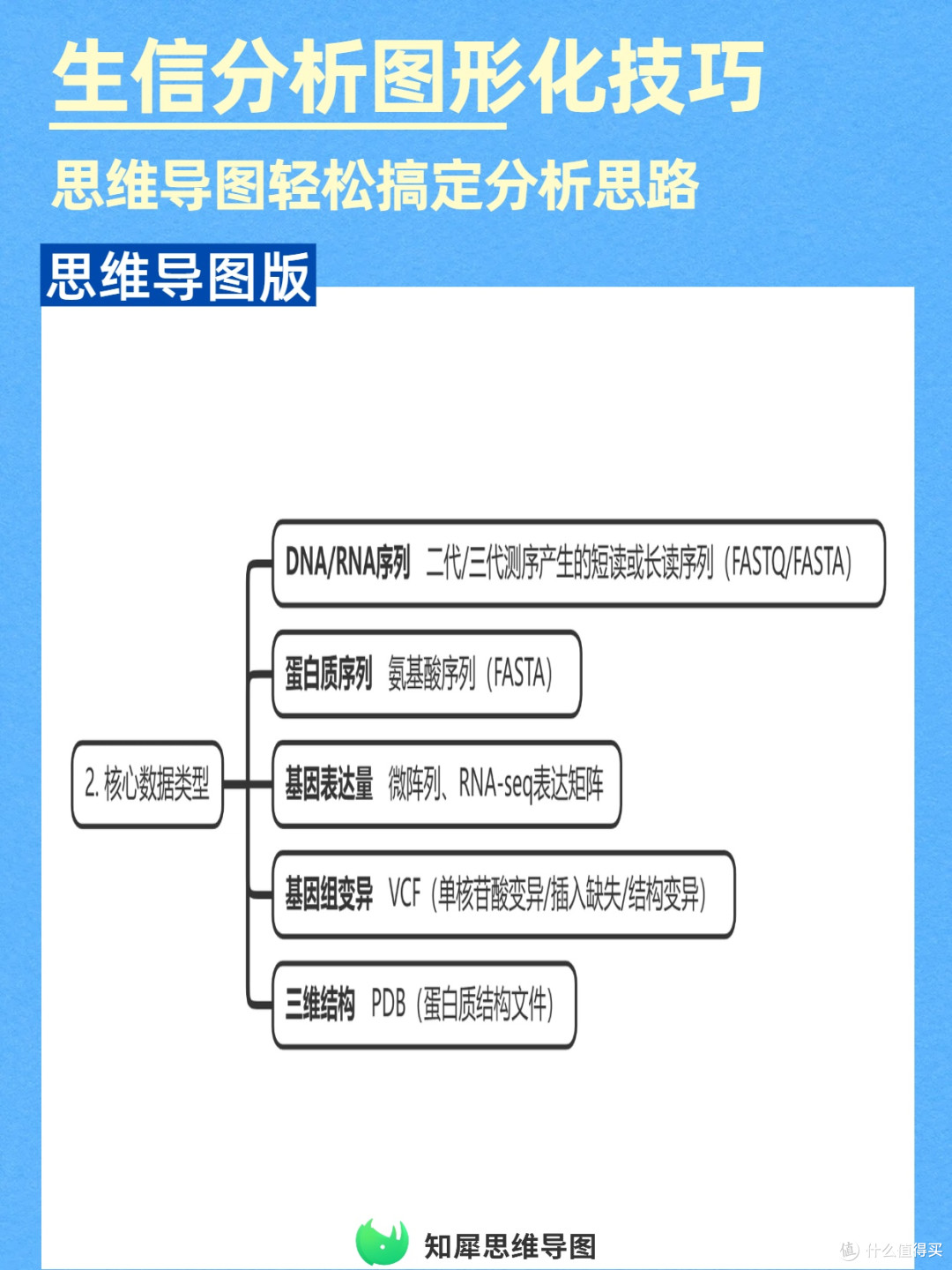 提升效率!生物信息学分析用思维导图图形化呈现思路