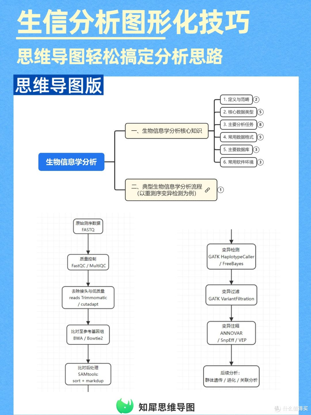 提升效率!生物信息学分析用思维导图图形化呈现思路