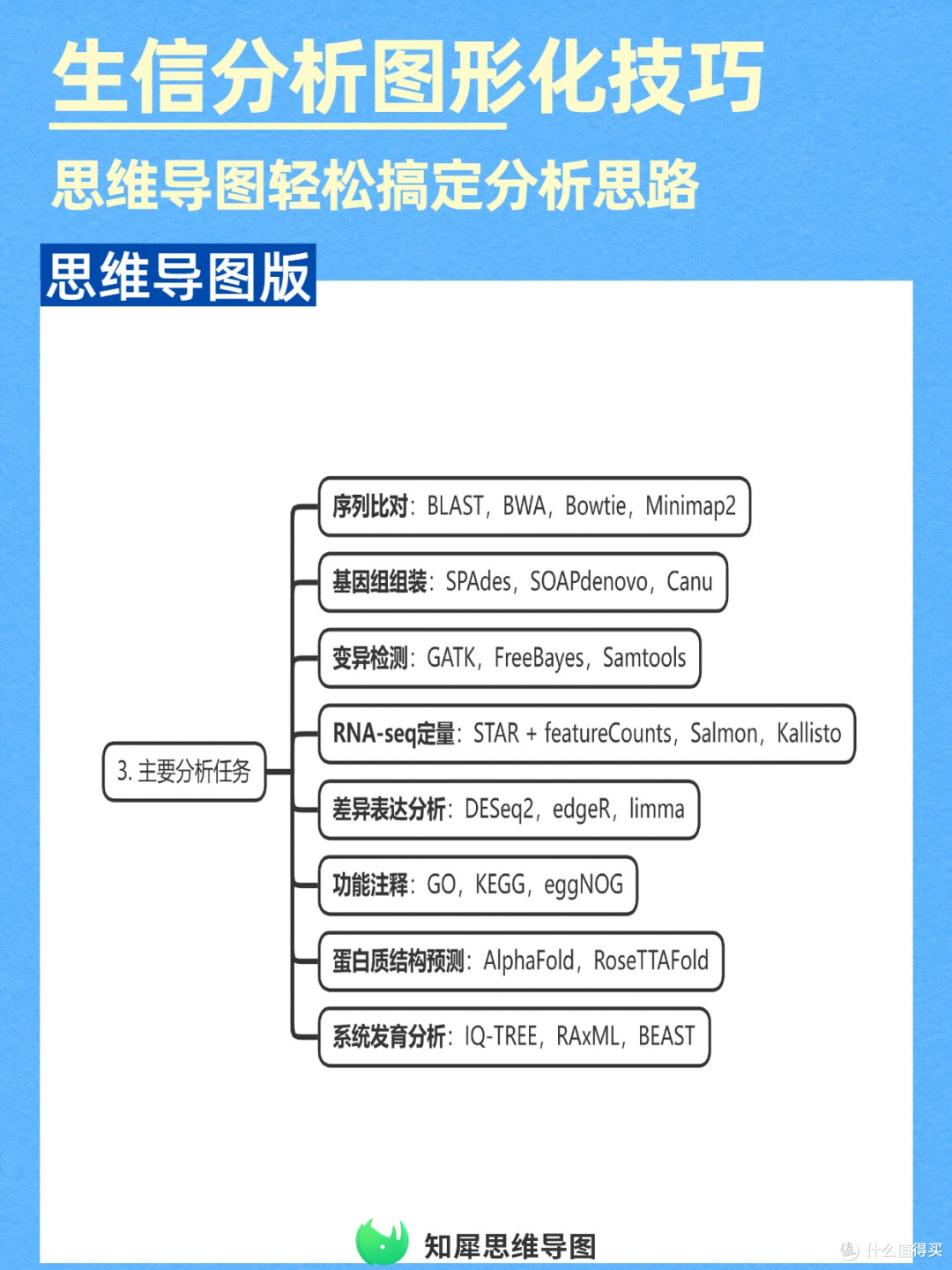提升效率!生物信息学分析用思维导图图形化呈现思路