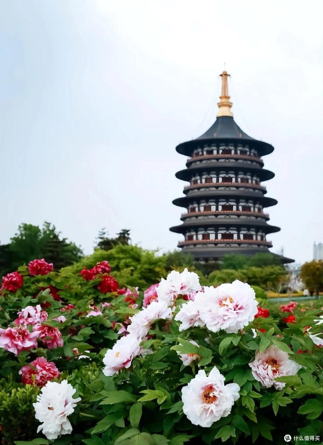五一洛阳王城公园带娃游,一站式遛娃攻略