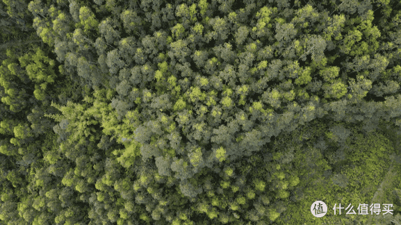 DJI Lito X1 深度体验:彻底掀桌,大疆狠起来连自己都打