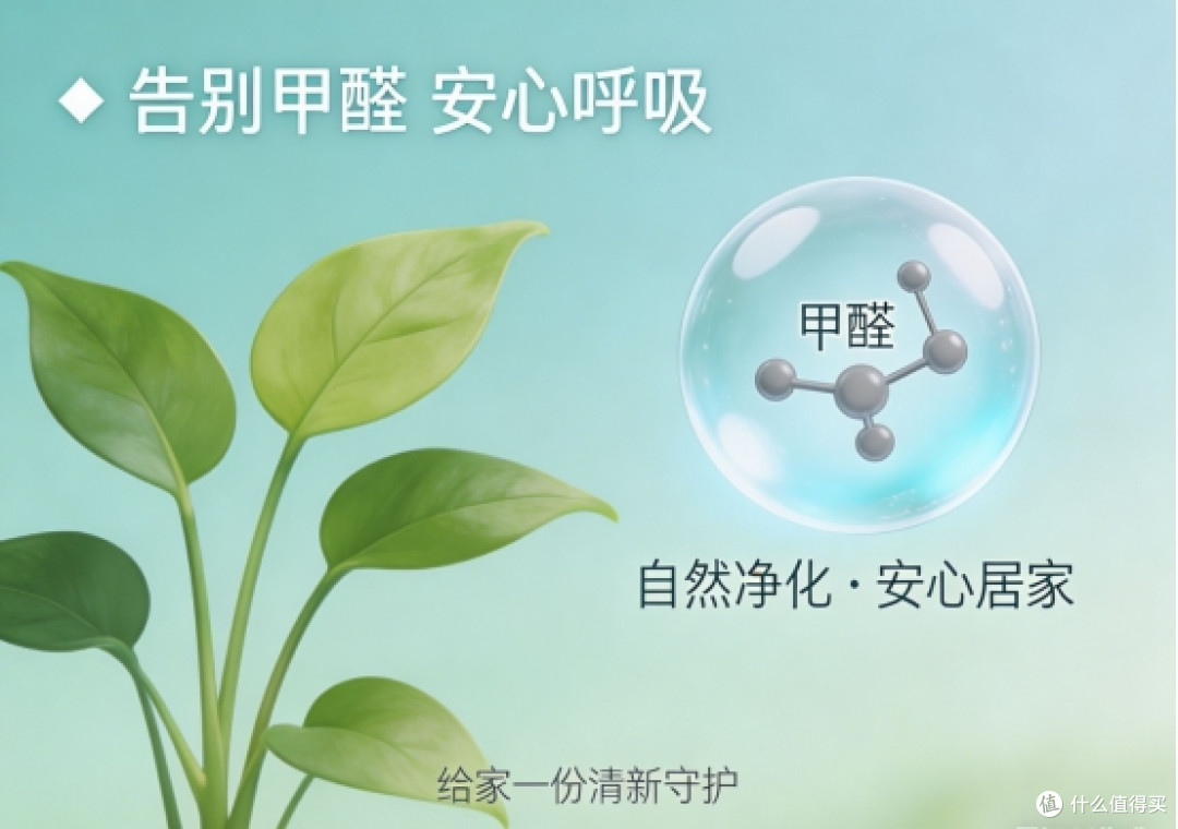 上班族租房气味刺鼻?有可能是甲醛在作祟,10除醛品牌推荐