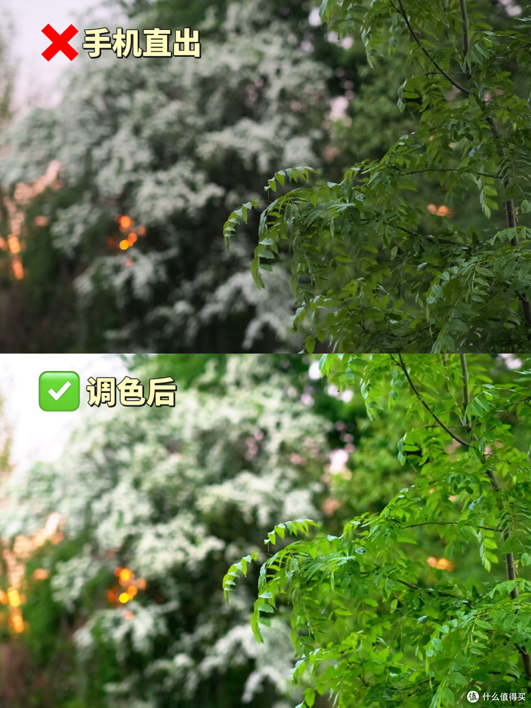 苹果手机拍的视频怎么变清晰?告别模糊发黑,一键拯救视频!