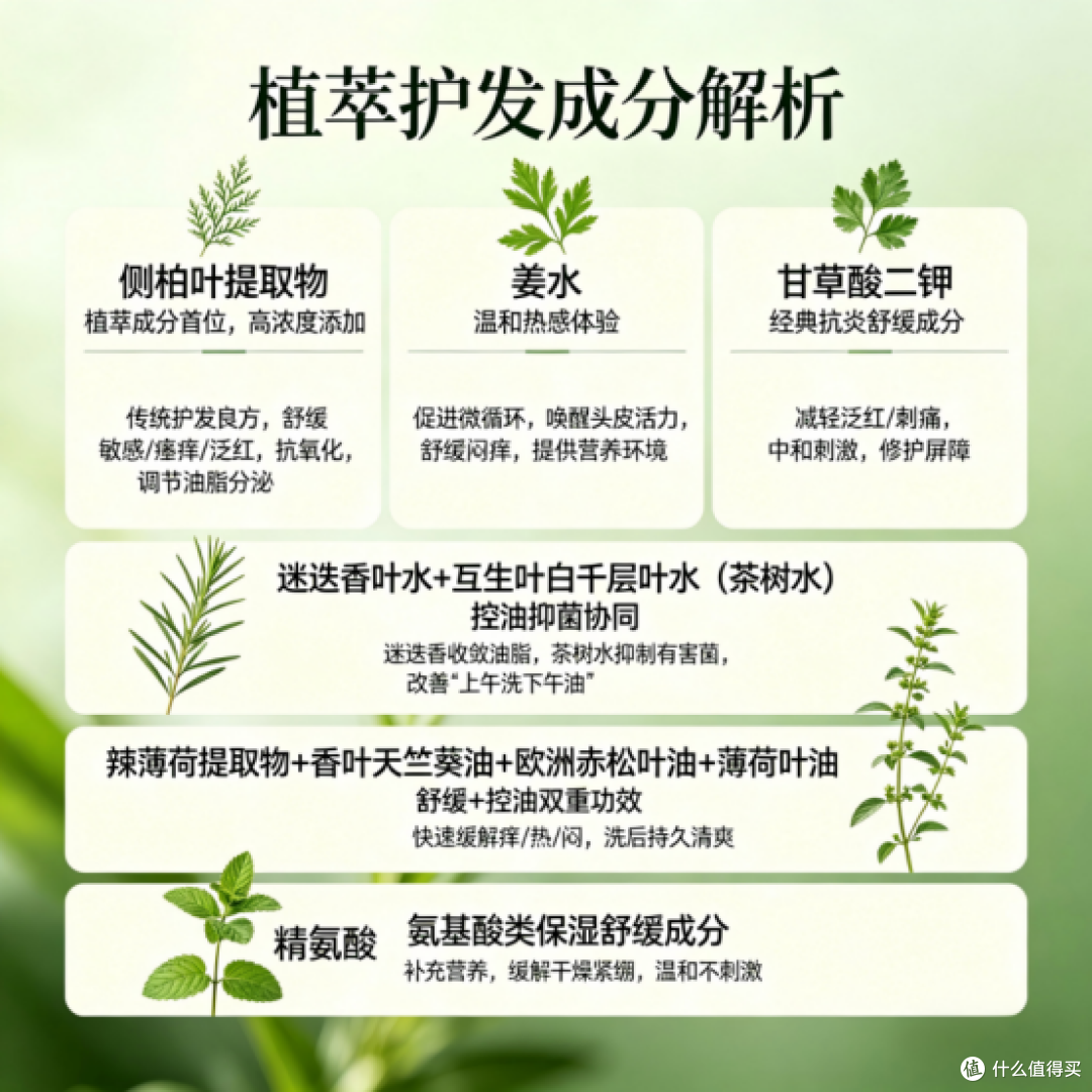 油头救星！亲测多款去屑控油洗发水，告别扁塌雪花头