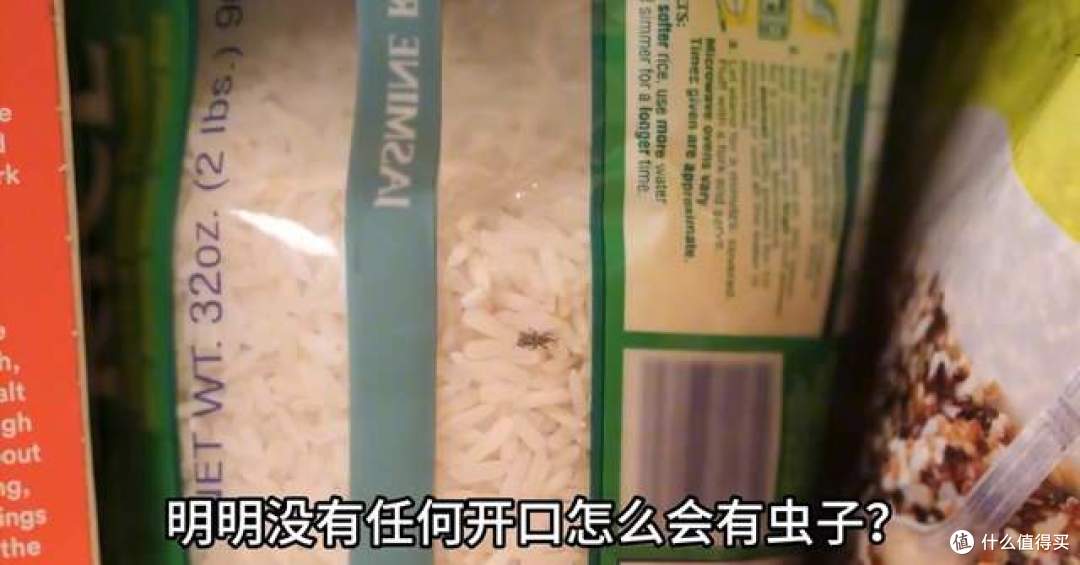 米袋没破却爬满小虫:米象产卵藏米粒,高温高湿一周就爆发