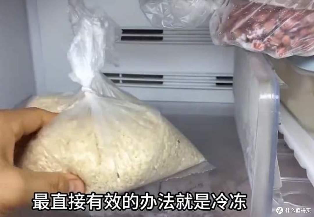 米袋没破却爬满小虫:米象产卵藏米粒,高温高湿一周就爆发