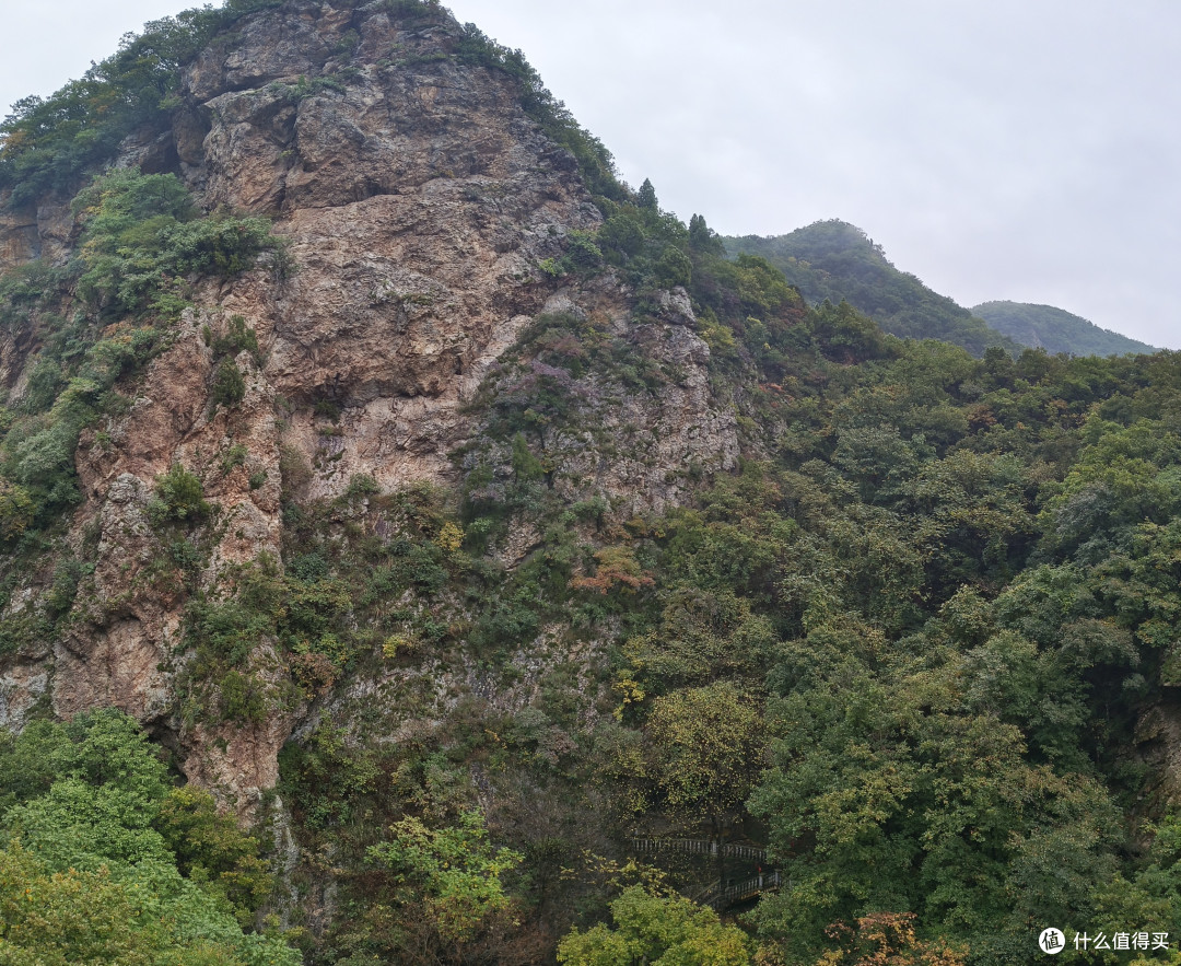 谁说带娃只能去游乐场?赤山这波“绿野仙踪”赢麻了!