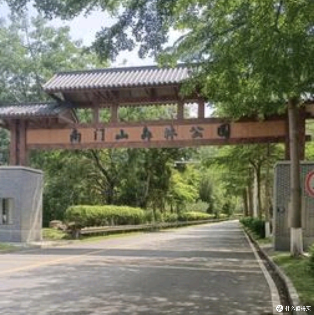 藏在凤岗的小众秘境!南门山森林公园遛娃全攻略