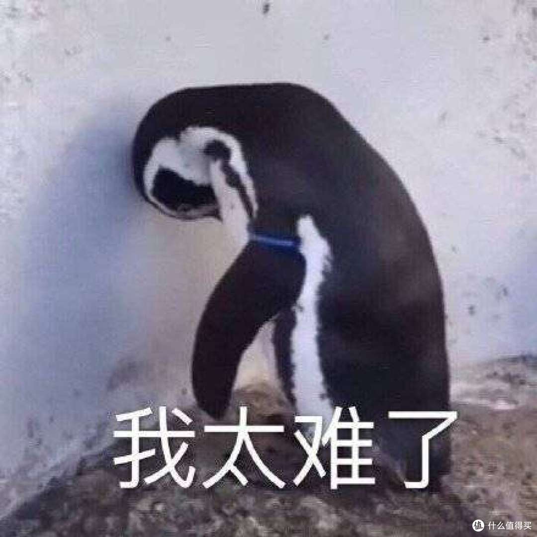 抗氧化家电的未来:福库破壁机,如何通过技术创新引领抗衰赛道?