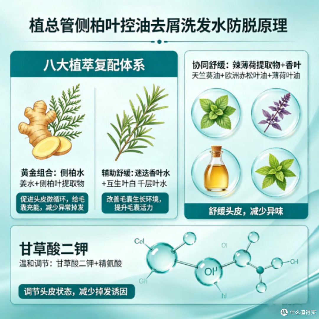 油头、头屑、头痒困扰?植总管侧柏叶控油去屑洗发水真实测评