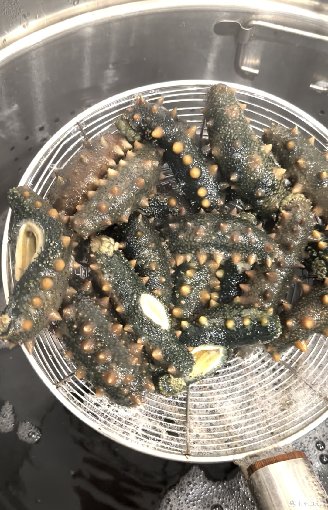 给自己家人买海参怎么选?你是不是从来没选对?
