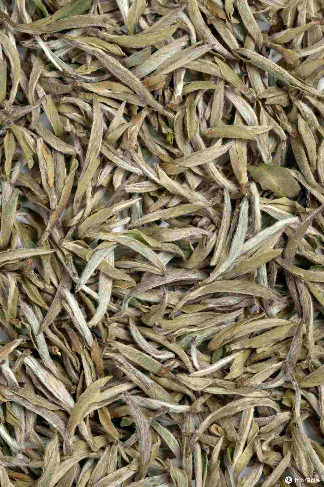 有机白茶和普通白茶喝起来有区别吗？