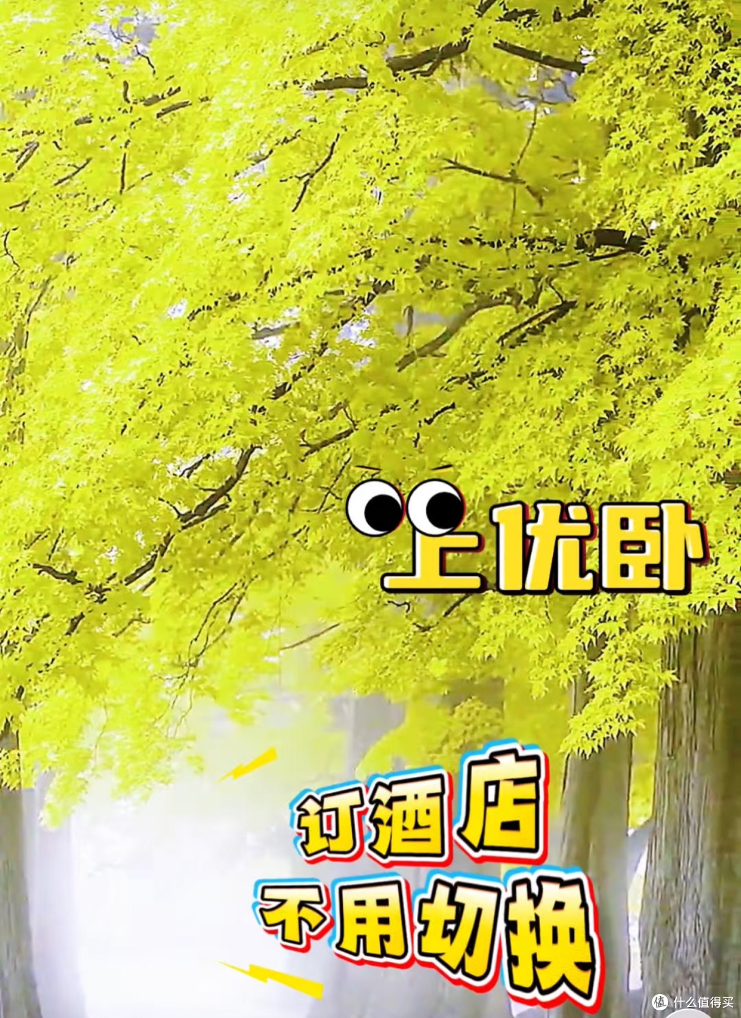 洛阳周末游住宿攻略