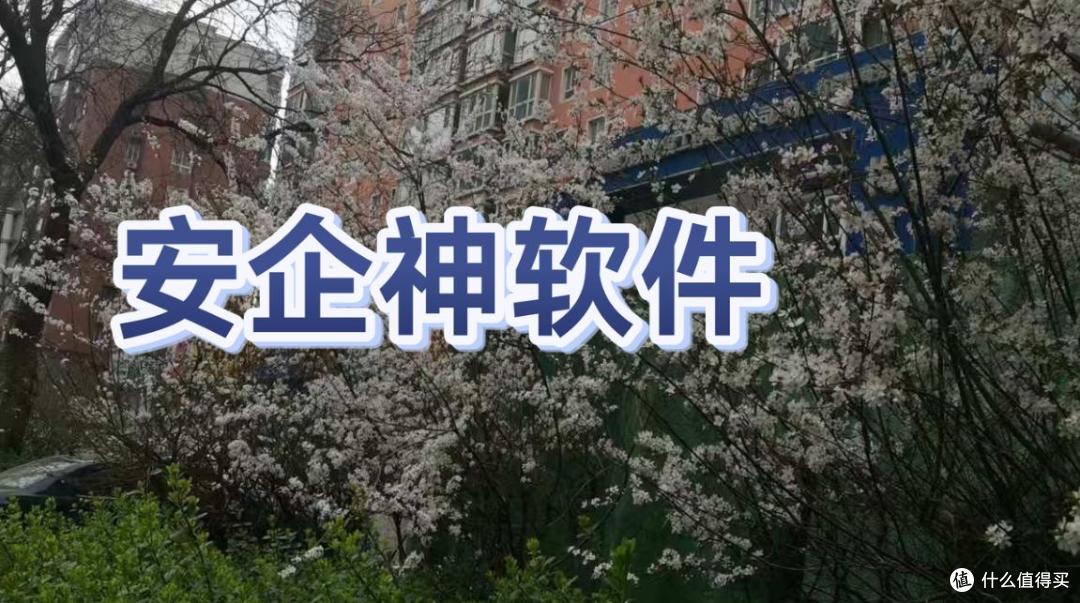 怎么给电脑资料加密?分享5款主流电脑加密软件件,2026公认好用