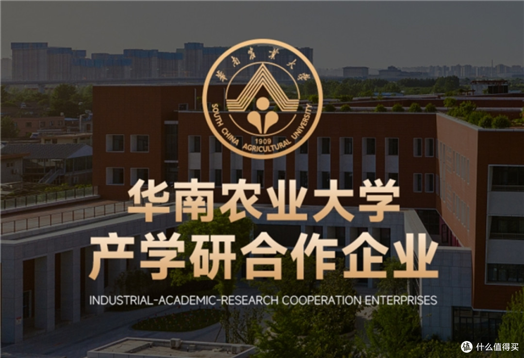 2026年猫咪驱虫药哪个牌子好?热门品牌对比评测