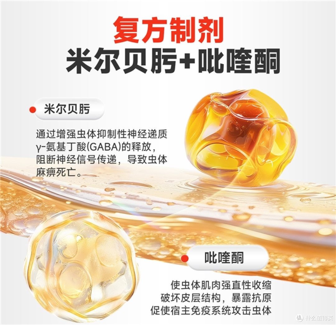 2026年猫咪驱虫药哪个牌子好?热门品牌对比评测