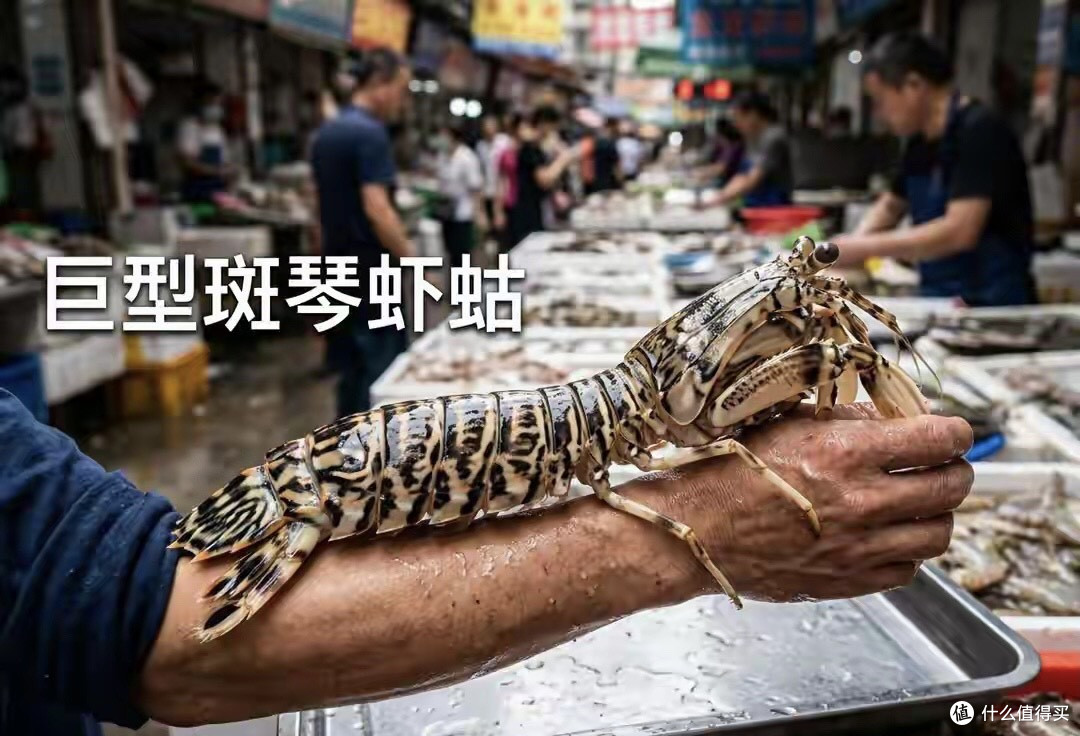 三亚4只皮皮虾收费1036元!被网暴老板第二天去世,到底谁的错?