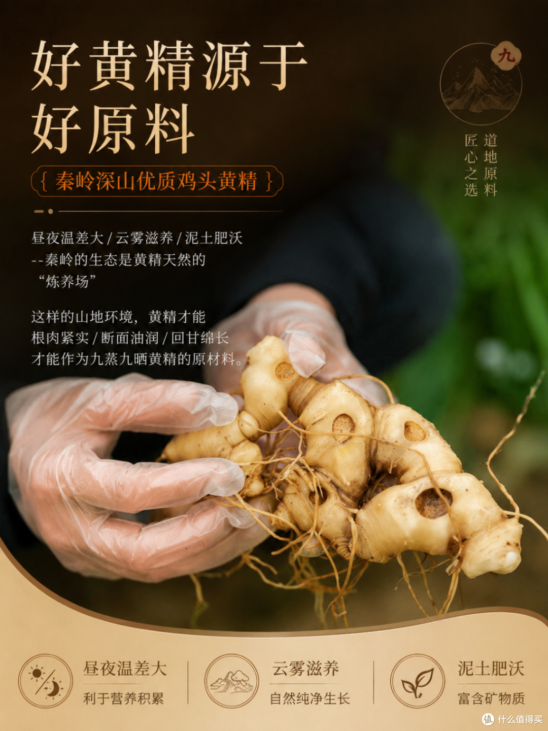 黄精什么品牌适合养生?润肺止咳黄精品牌解析,辅助降糖更实用