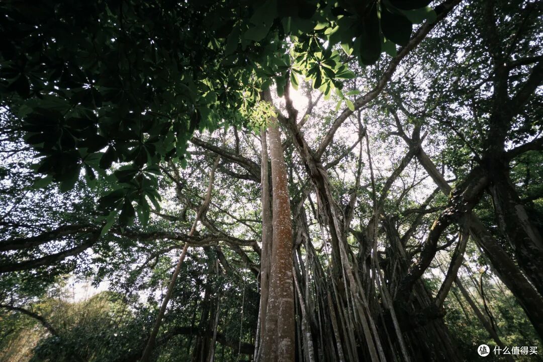 比版纳人少,比东南亚便宜,这座冷门边境小城是今年最棒旅行体验