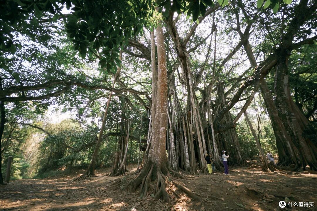 比版纳人少,比东南亚便宜,这座冷门边境小城是今年最棒旅行体验