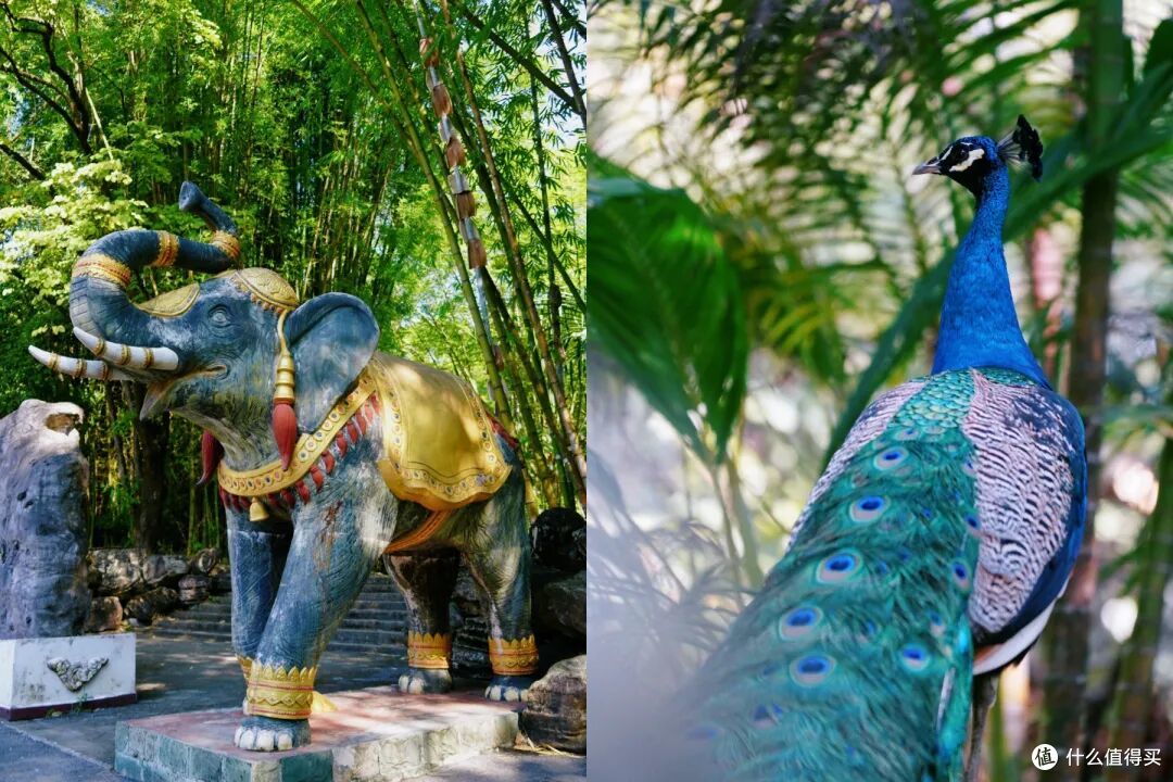比版纳人少,比东南亚便宜,这座冷门边境小城是今年最棒旅行体验