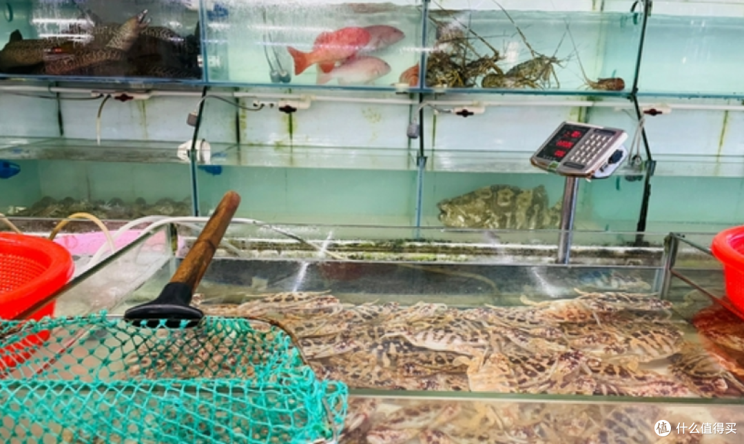 三亚天价皮皮虾事件令人唏嘘:店主次日病逝 店铺永久停业