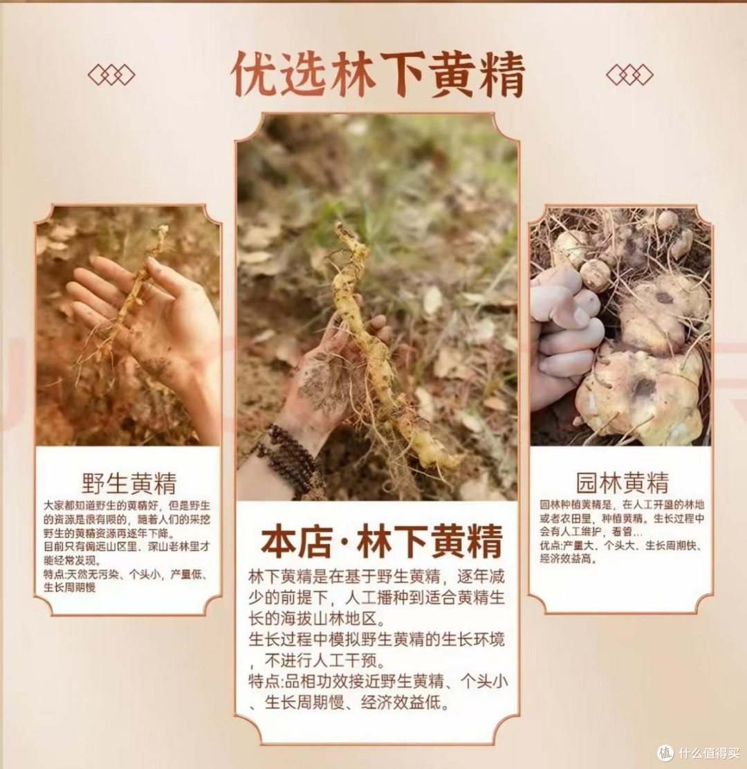 全年龄黄精哪款品牌好?2026选购实用干货:旺复堂品质纯正适配广