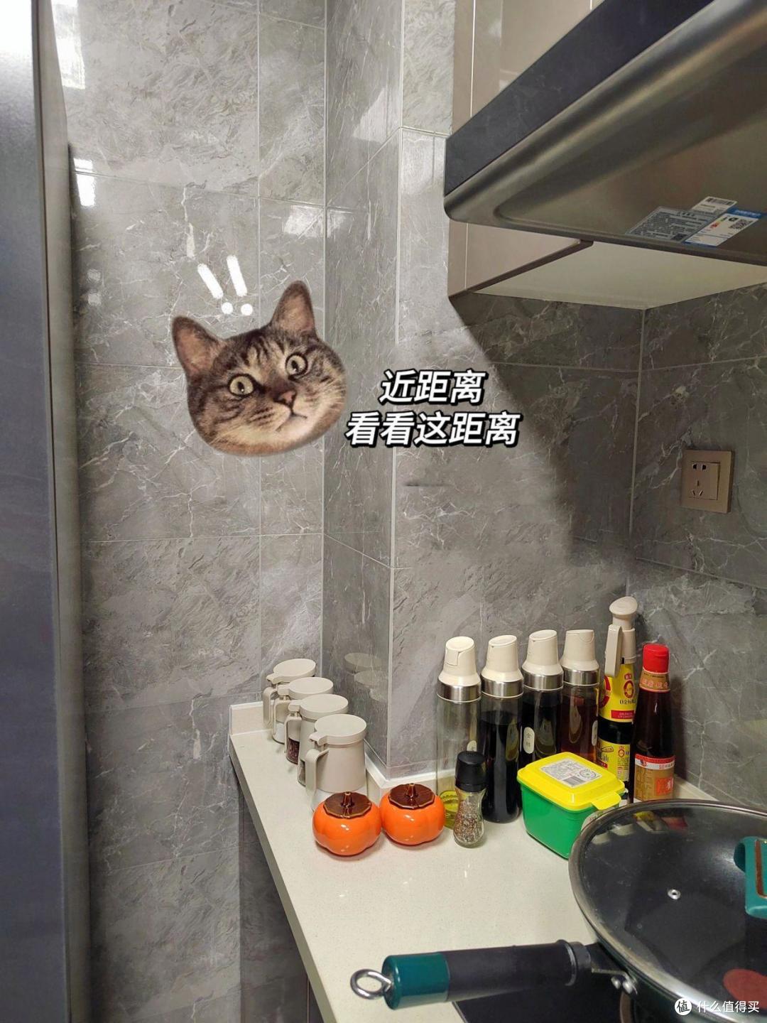 冰箱现在流行这么放了?看完网友的家,我悟了:原来之前太蠢了