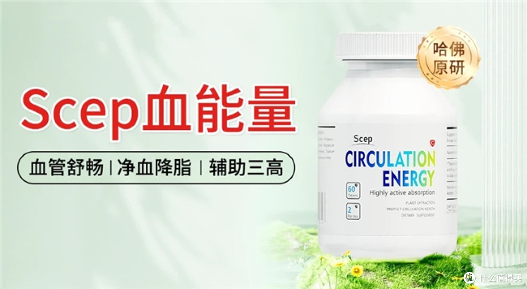 水蛭素哪个牌子好?水蛭素品牌推荐,区分血管健康轻重需求