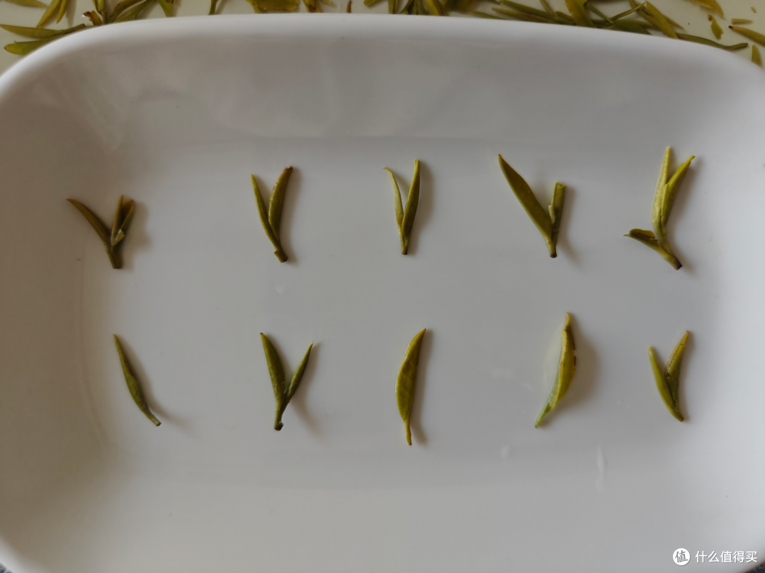 无我茶社蒙顶甘露测评,滋味鲜甜、回甘,好喝!