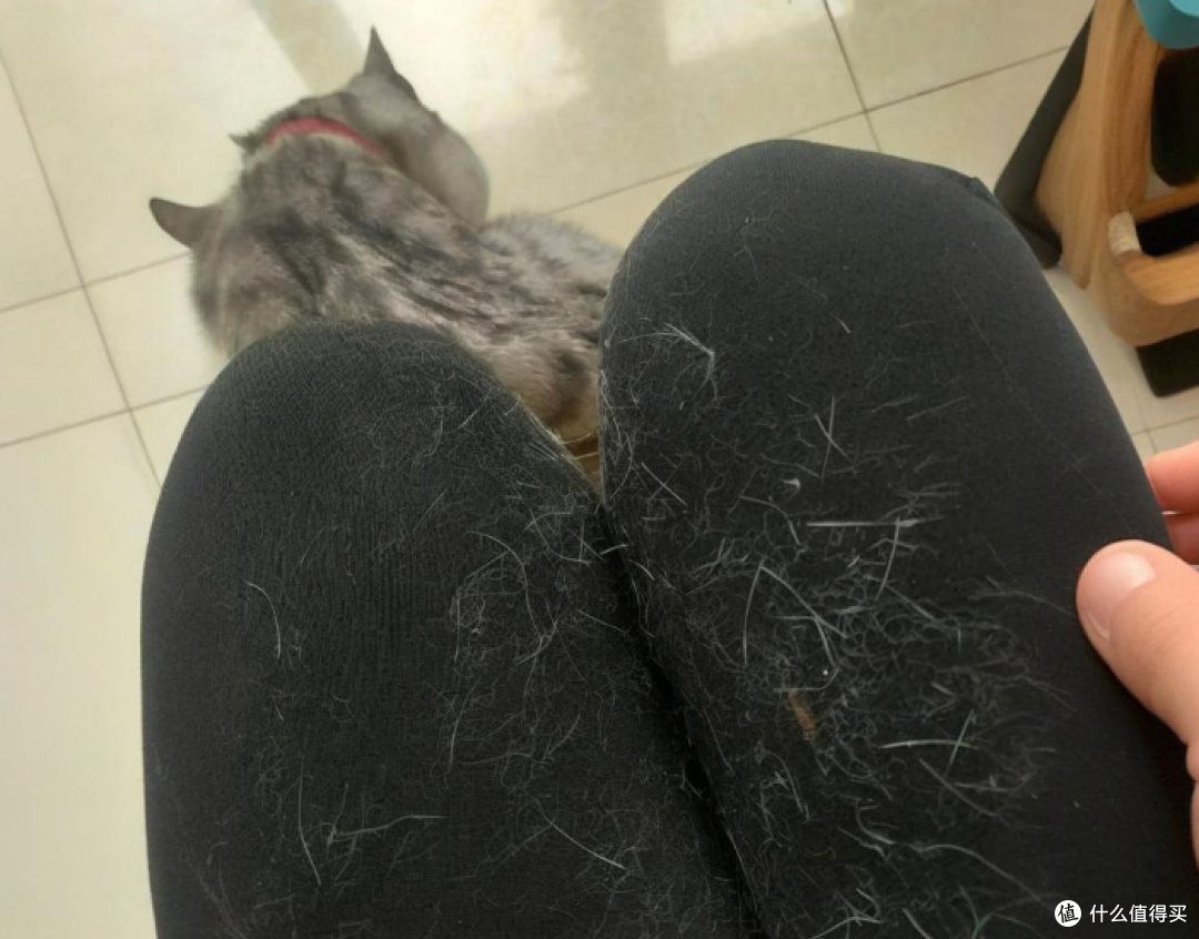养宠家庭洗烘套装怎么选?认准这3个硬指标,彻底告别满天飞毛