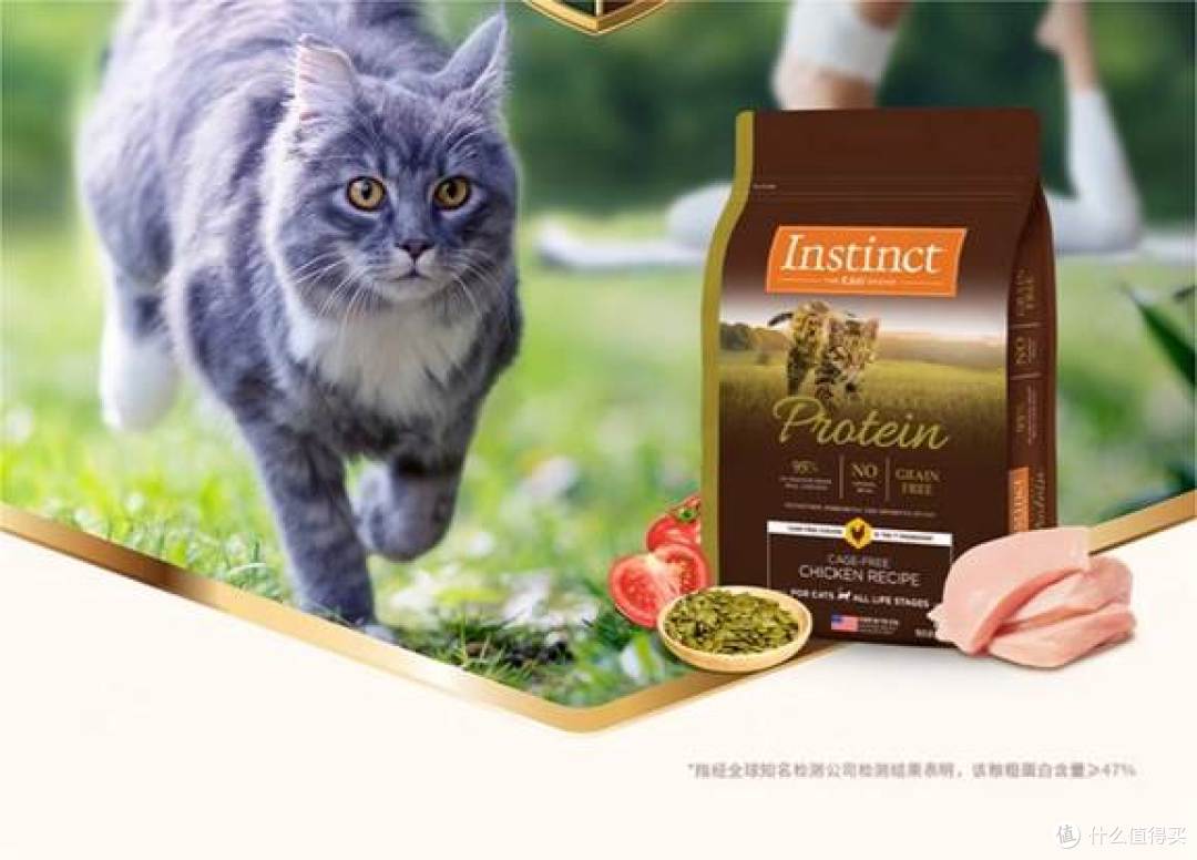 世界十大顶级猫粮品牌值吗?2026猫粮测评618对比