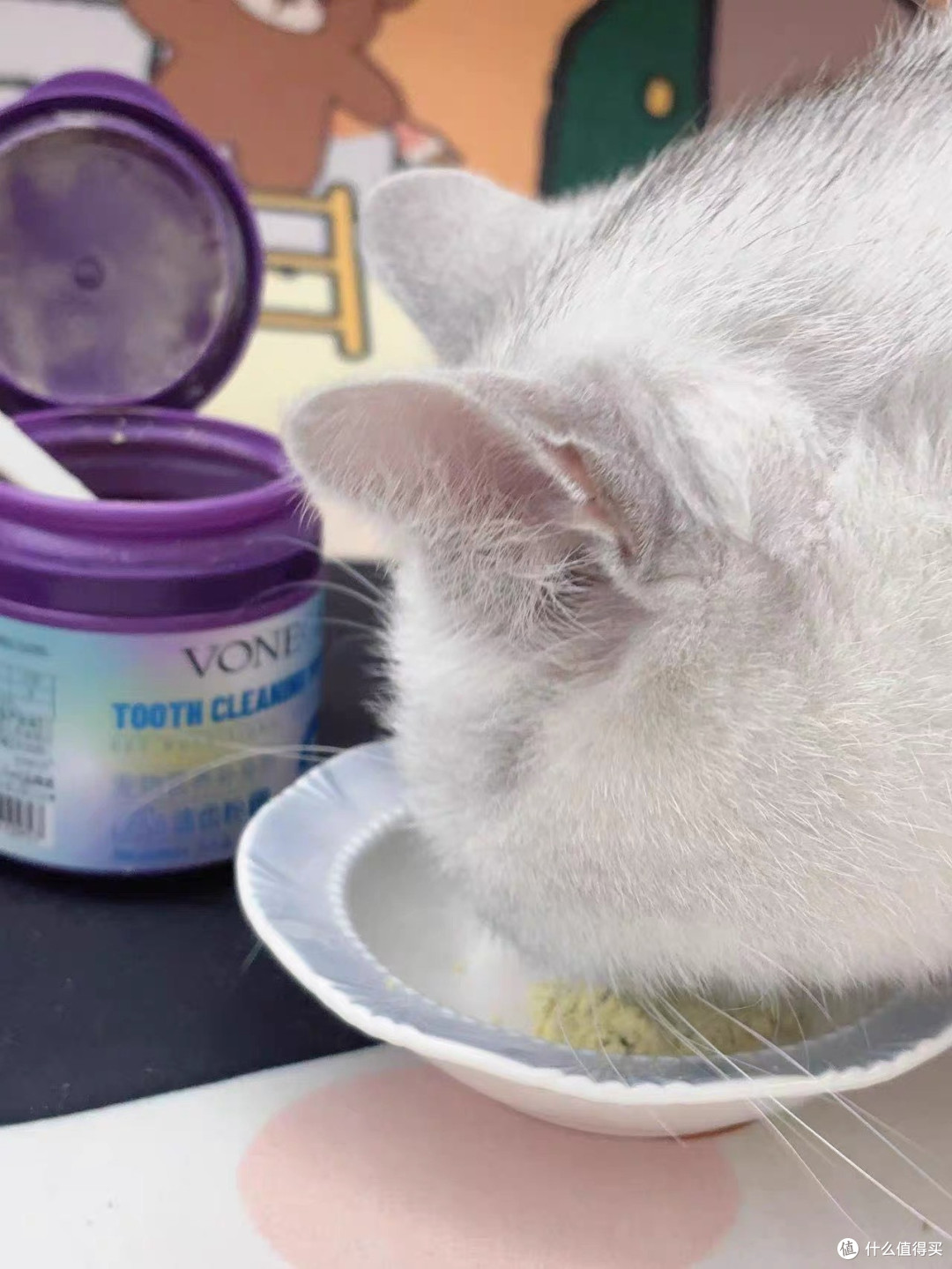养宠人进化史|终于找到给猫咪去口臭的懒人神器