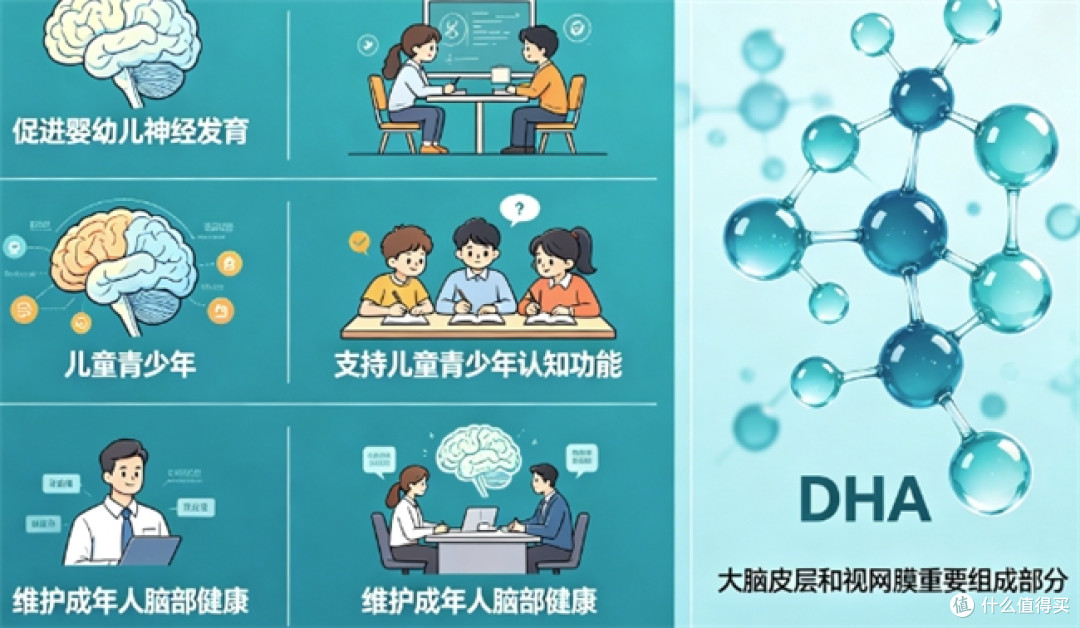 2026儿童DHA哪个品牌好:天然藻类封闭提取,精准添加多种营养