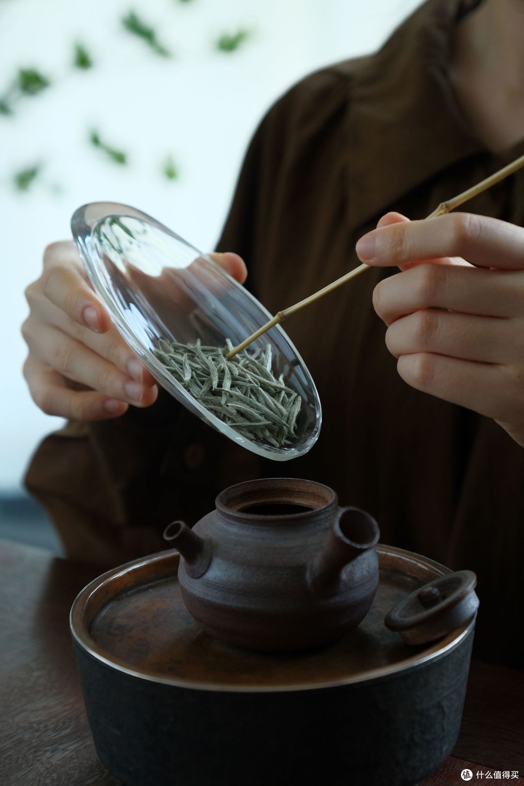2026年高品质白茶选购指南：值得消费者信赖的高品质福鼎白茶品牌