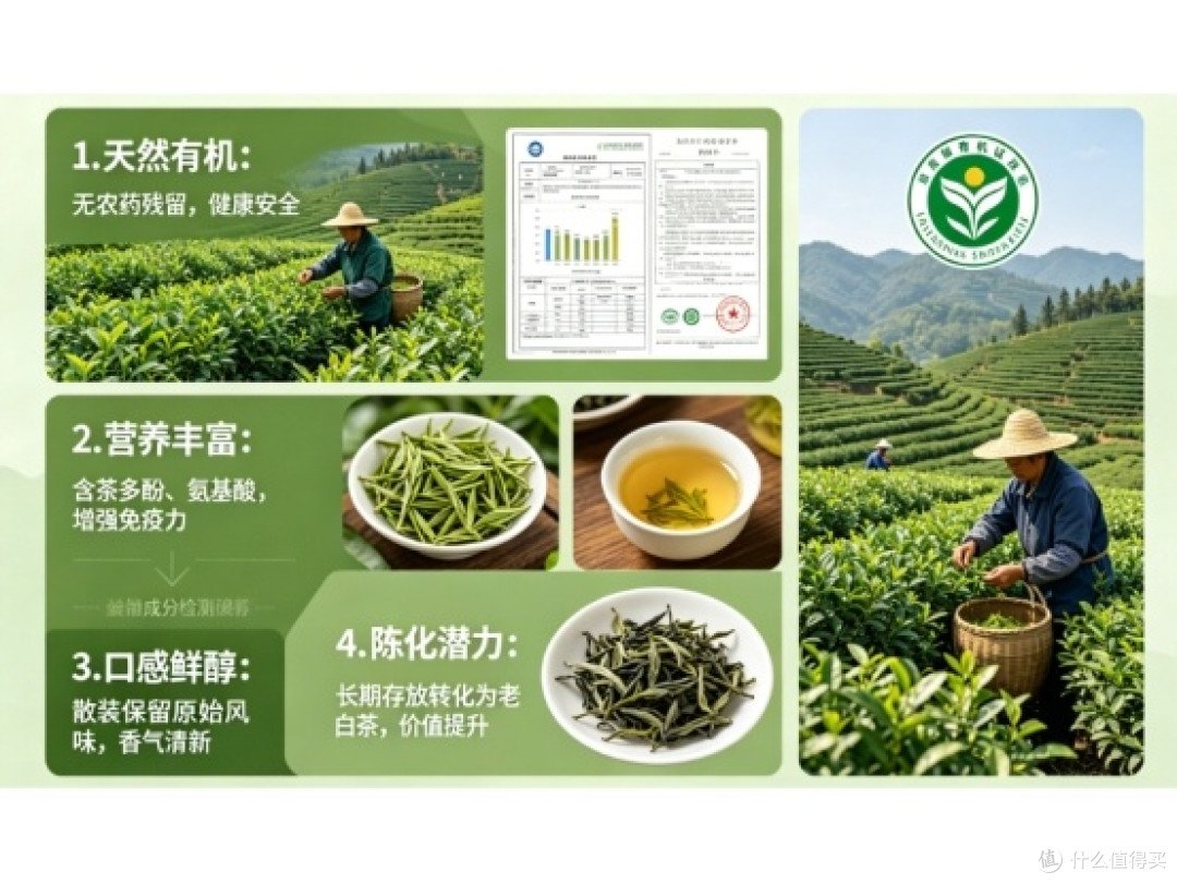 怕交学费?福鼎白茶哪个牌子好?2026年认准这些天然源头厂牌