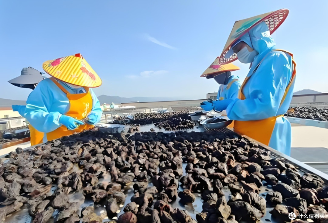 九蒸九晒黄精哪个牌子品质好?2026黄精品牌专业测评,日常调补更省心