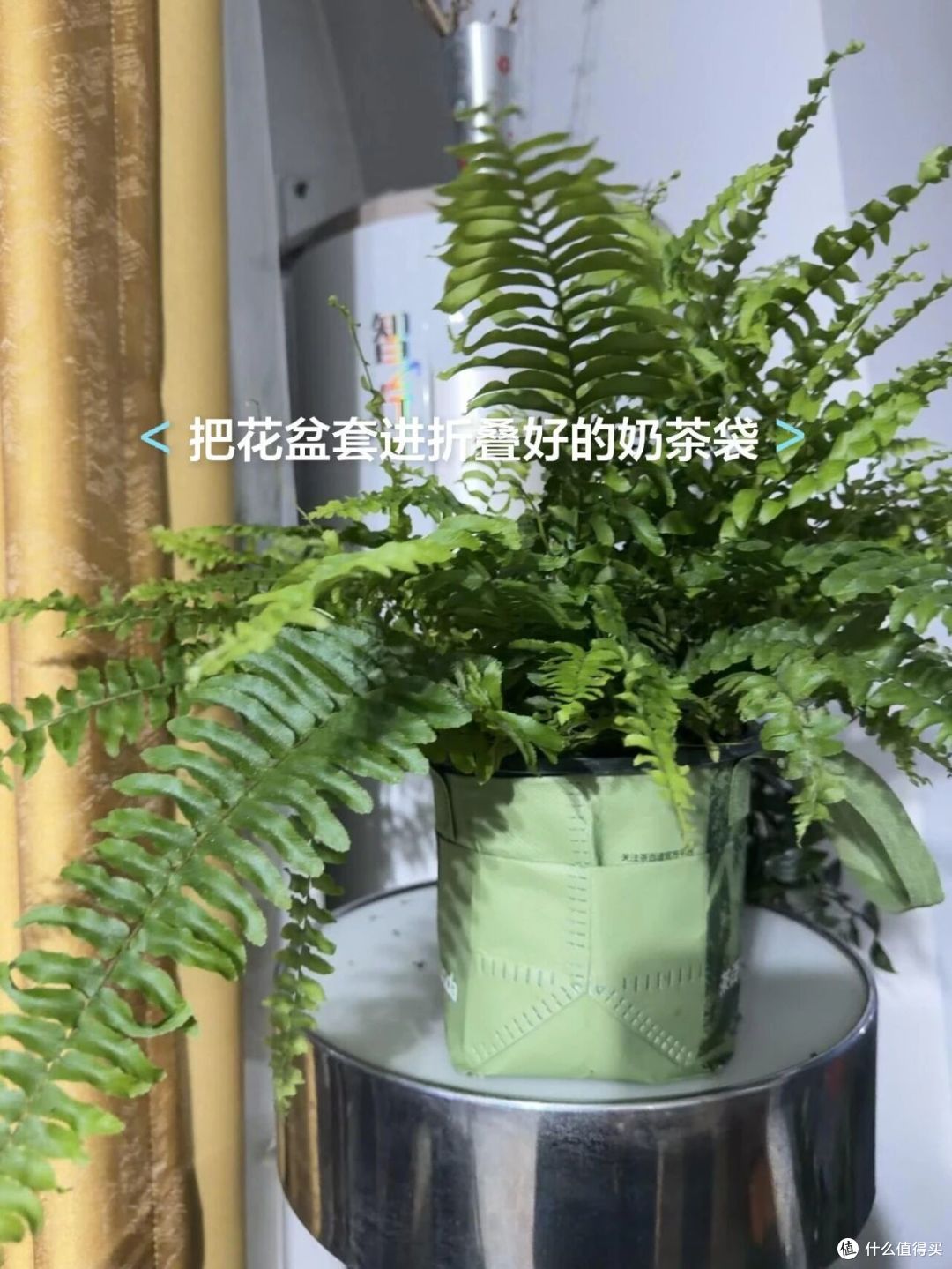 再也不乱扔「奶茶袋」了!果然,只要打开思路,就成了家居宝藏