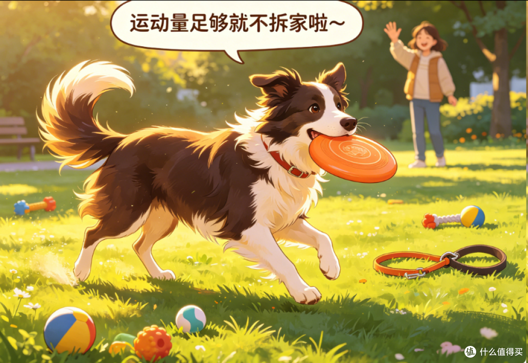 养“边牧”一年后,这9个神奇现象刷新了我的认知!