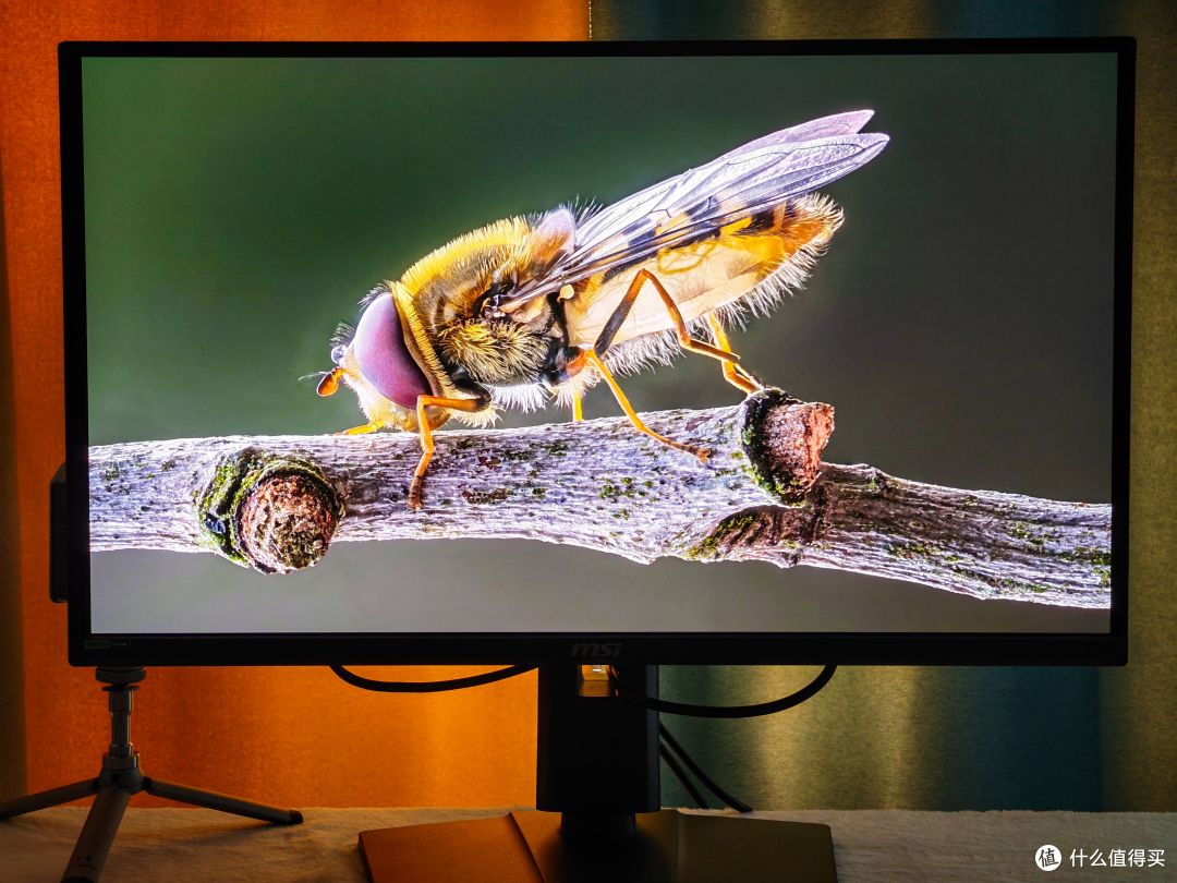 微星 271QP QD-OLED X28 流光实测,2000多的2K、280Hz OLED机型