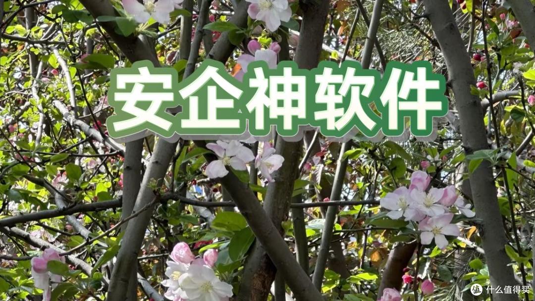 企业数据如何加密?精选5款企业数据加密软件,看看你适合哪款?