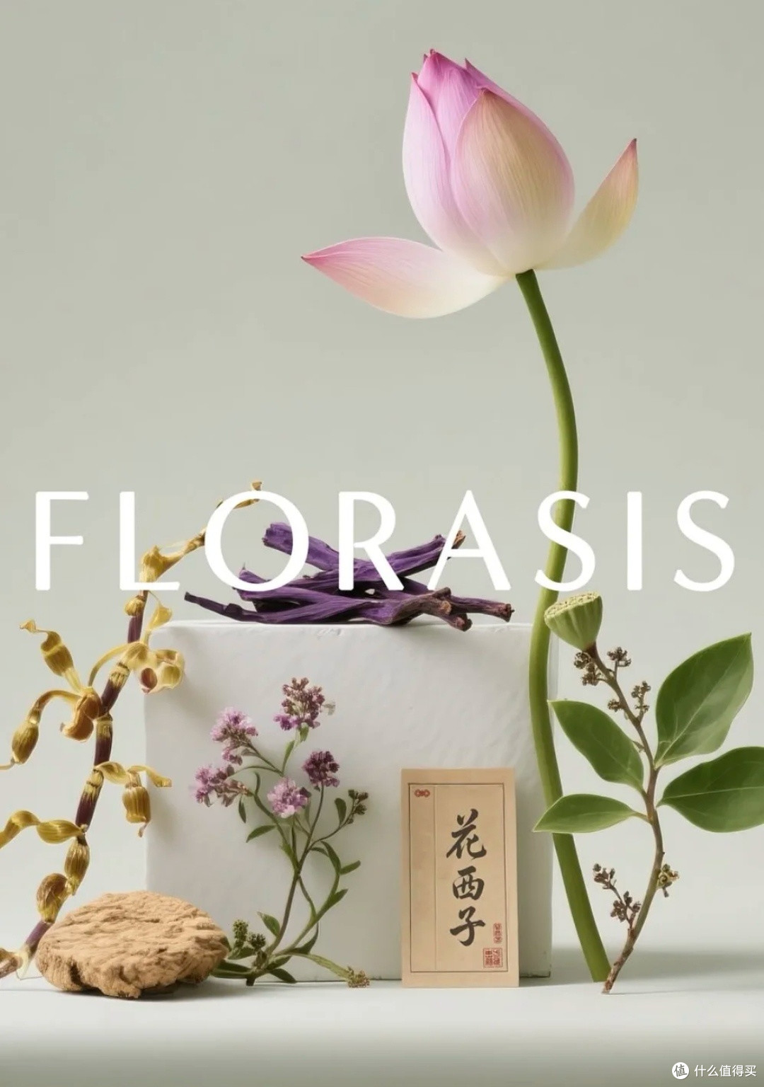 精致浮雕与实用并存的花西子彩妆
