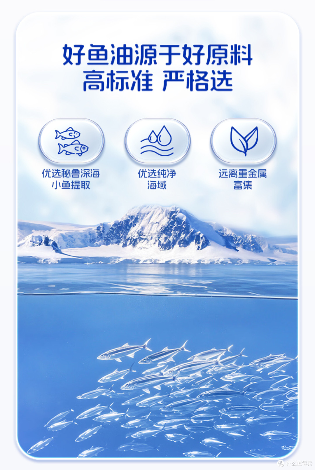2026 深海鱼油哪个好?十大品牌盘点,rTG 吸收更强