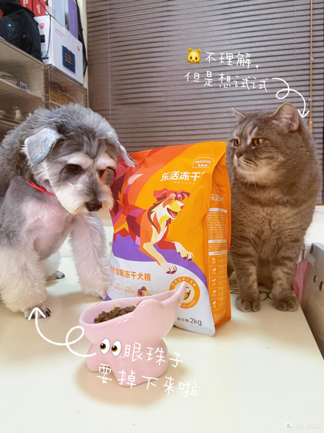 图片 2