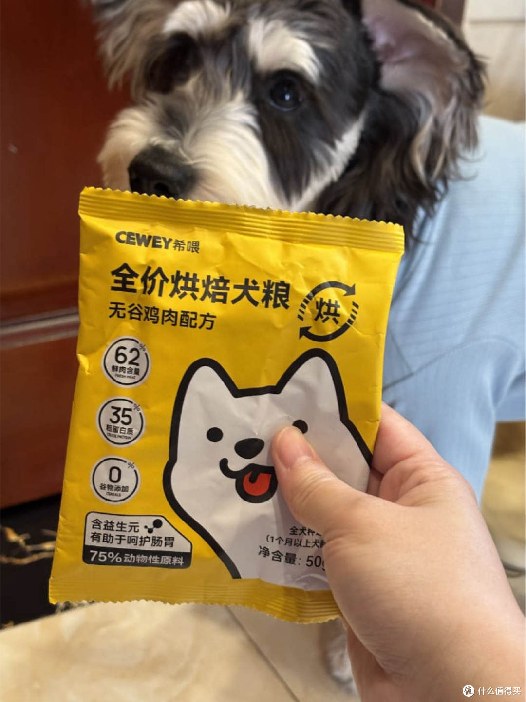 618囤狗粮别被满减冲昏头!雪纳瑞小老头的肠胃真的伤不起...