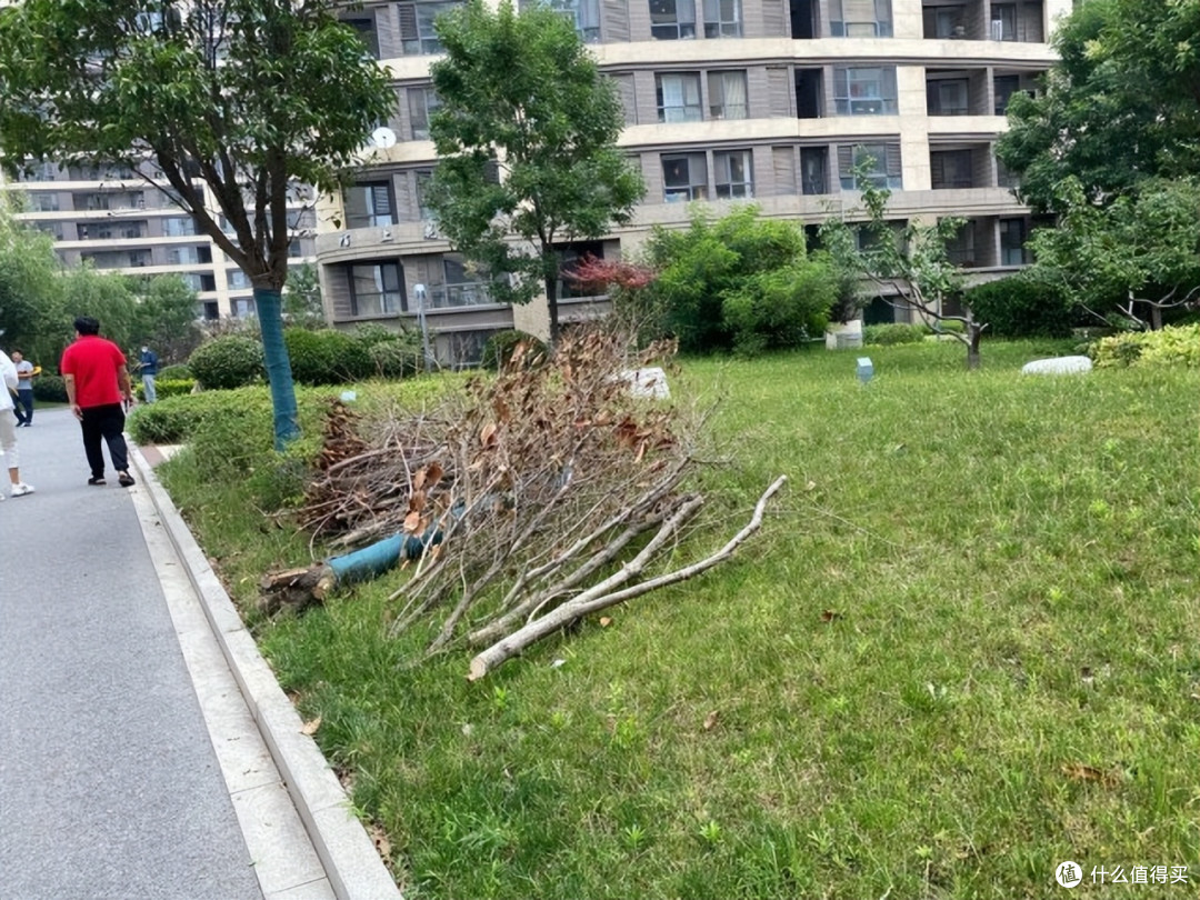 多地小区物业费“腰斩”到5折,网友灵魂拷问:为何不直接取消?