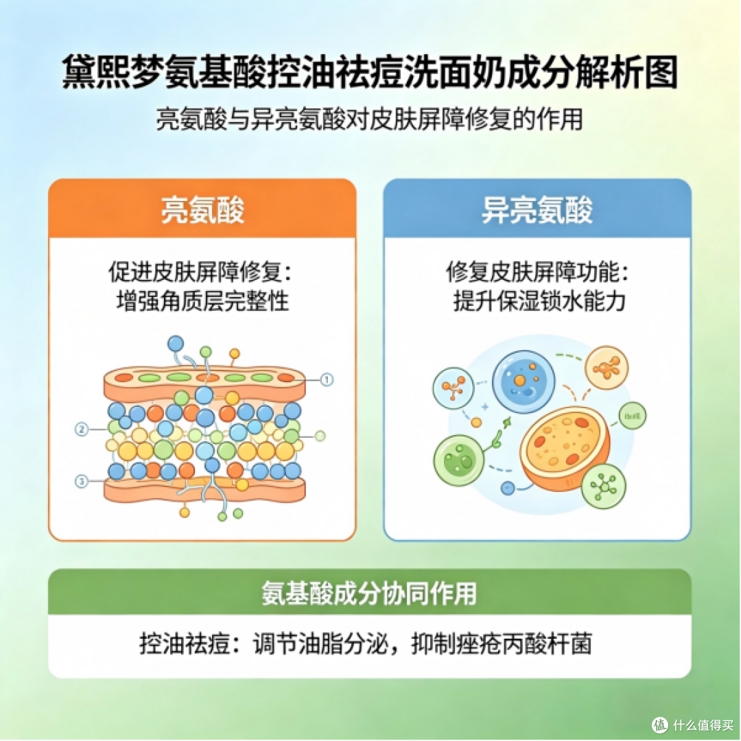 高口碑油痘肌控油祛痘洗面奶哪款好?精选热门油痘肌洗面奶
